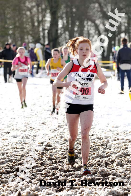 Phillippa Chambers (Gateshead Harriers) under-15 girls Northern Cross Country Championships.